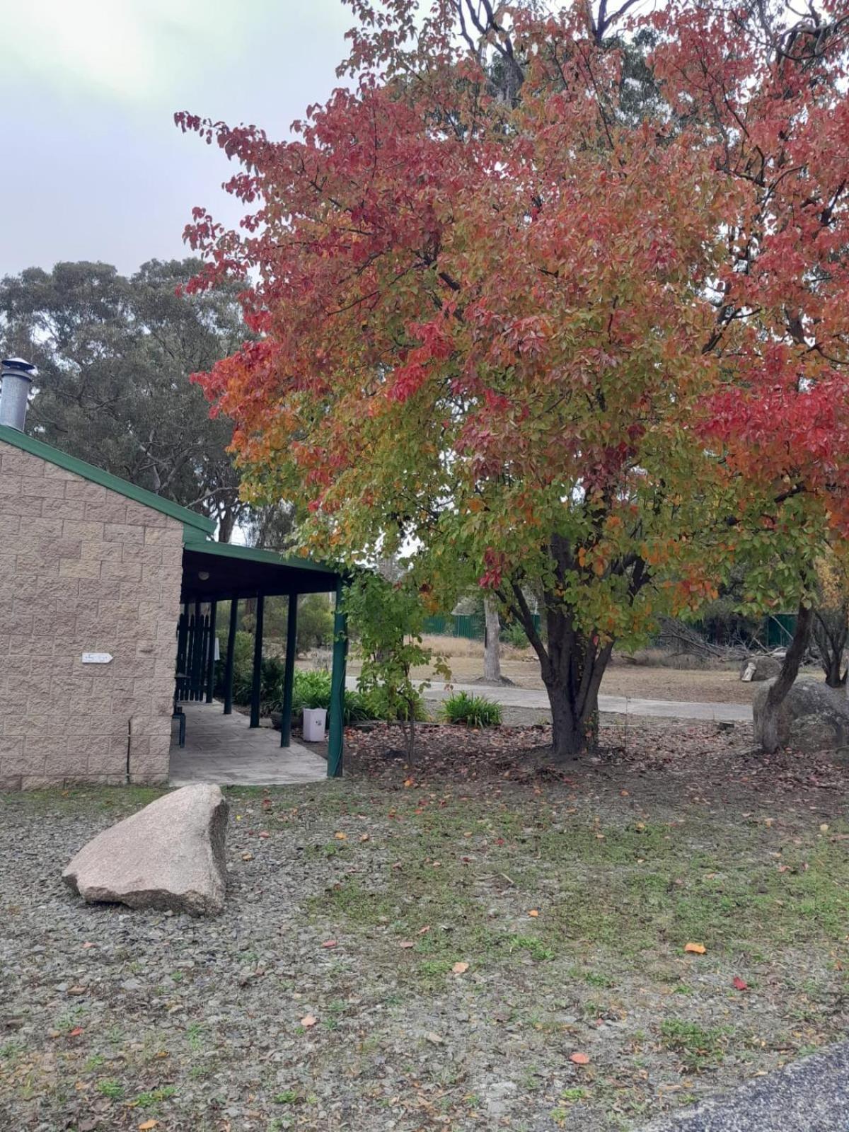 Murray Gardens Motel Stanthorpe Exteriér fotografie